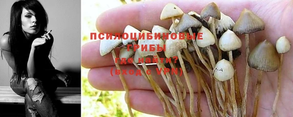 трава Балабаново