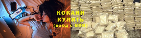 шишки Арсеньев