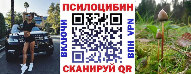 blacksprut   Калуга  Псилоцибиновые грибы Magic Shrooms 